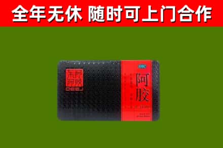 正定县回收阿胶